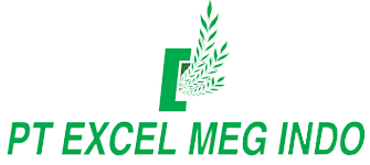 EXCEL MEG INDO